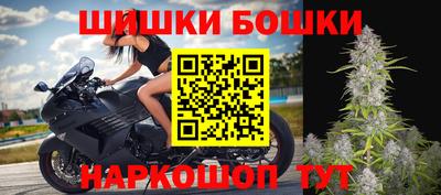 прущие грибы Краснодар
